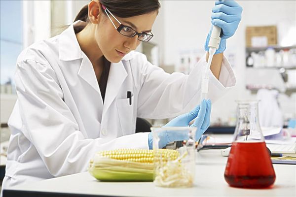 动物实验室的设计规划与建设方案